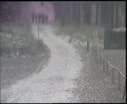 Nástup na běžecké tratě