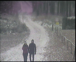 Nástup na běžecké tratě