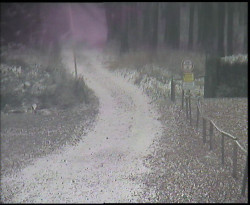 Nástup na běžecké tratě