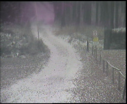 Nástup na běžecké tratě