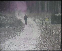 Nástup na běžecké tratě