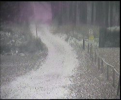 Nástup na běžecké tratě