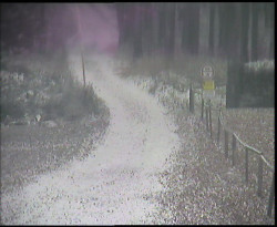 Nástup na běžecké tratě