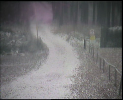 Nástup na běžecké tratě