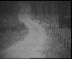 Nástup na běžecké tratě