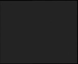 Nástup na běžecké tratě