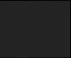 Nástup na běžecké tratě