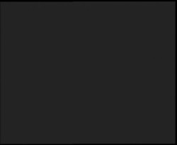 Nástup na běžecké tratě