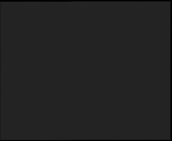 Nástup na běžecké tratě