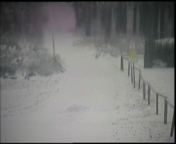 Nástup na běžecké tratě