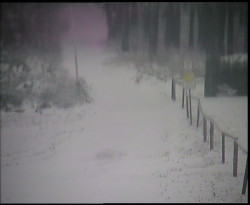 Nástup na běžecké tratě