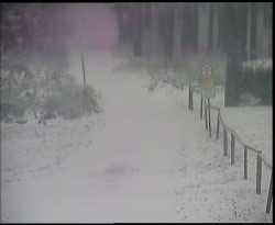 Nástup na běžecké tratě