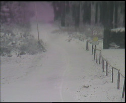 Nástup na běžecké tratě