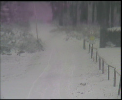 Nástup na běžecké tratě