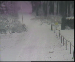 Nástup na běžecké tratě