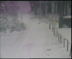 Nástup na běžecké tratě