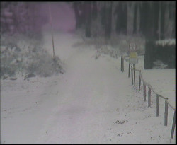 Nástup na běžecké tratě