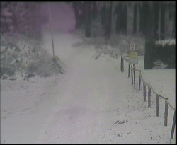 Nástup na běžecké tratě