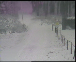 Nástup na běžecké tratě