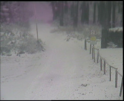 Nástup na běžecké tratě