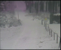 Nástup na běžecké tratě