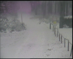 Nástup na běžecké tratě