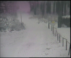 Nástup na běžecké tratě