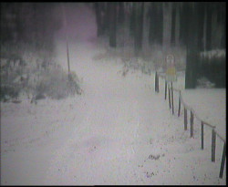 Nástup na běžecké tratě