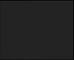 Nástup na běžecké tratě