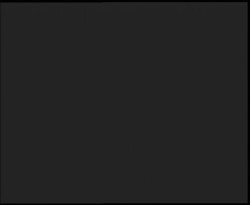 Nástup na běžecké tratě