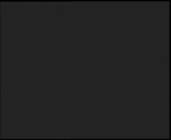 Nástup na běžecké tratě