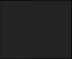 Nástup na běžecké tratě