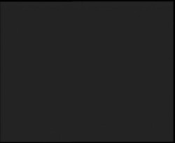 Nástup na běžecké tratě