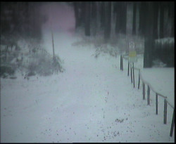 Nástup na běžecké tratě