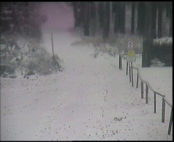 Nástup na běžecké tratě