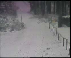 Nástup na běžecké tratě