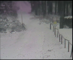 Nástup na běžecké tratě