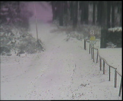 Nástup na běžecké tratě