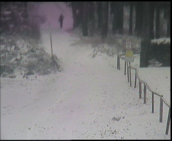 Nástup na běžecké tratě