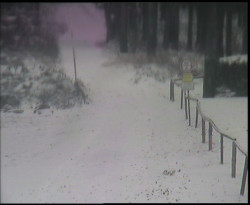 Nástup na běžecké tratě