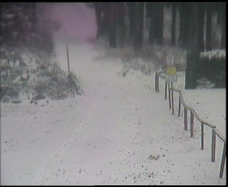 Nástup na běžecké tratě