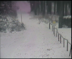 Nástup na běžecké tratě