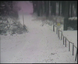 Nástup na běžecké tratě