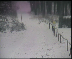 Nástup na běžecké tratě