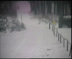 Nástup na běžecké tratě