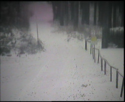 Nástup na běžecké tratě