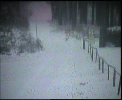 Nástup na běžecké tratě