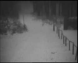 Nástup na běžecké tratě