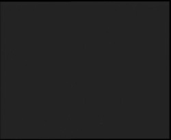 Nástup na běžecké tratě