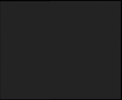 Nástup na běžecké tratě